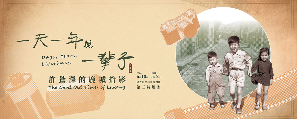 一天、一年與一輩子：許蒼澤的鹿城拾影