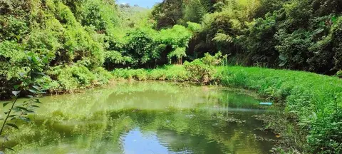 水水慢城-世紀埤塘親水之旅