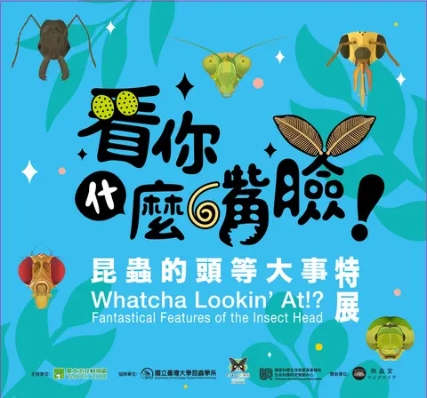 看你什麼嘴臉！昆蟲的頭等大事特展