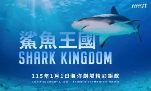 海洋劇場現正熱映－鯊魚王國
