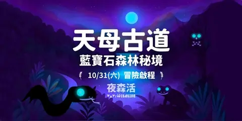 10/31(六)視覺森境《天母古道藍寶石秘密》