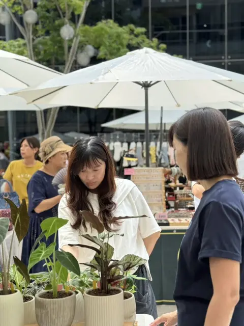 有吉市 X文心秀泰